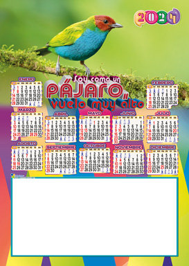 Almanaque Millenium Cartón ¼ 